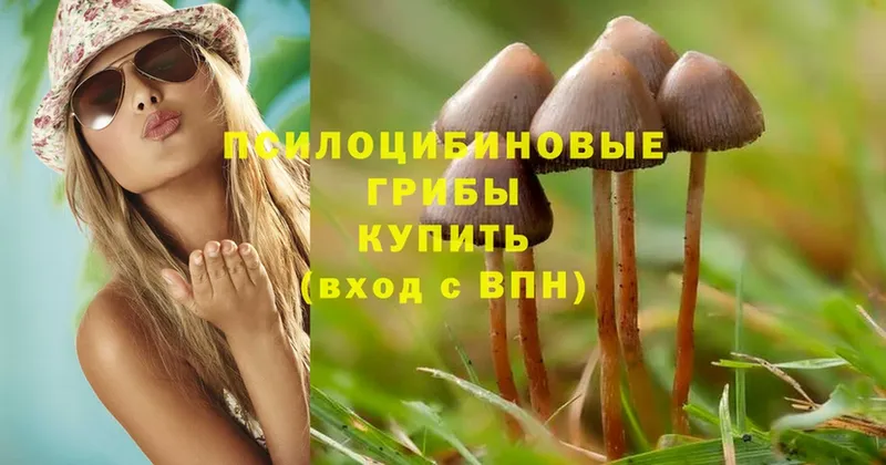 Псилоцибиновые грибы Magic Shrooms  МЕГА ссылка  Тара 